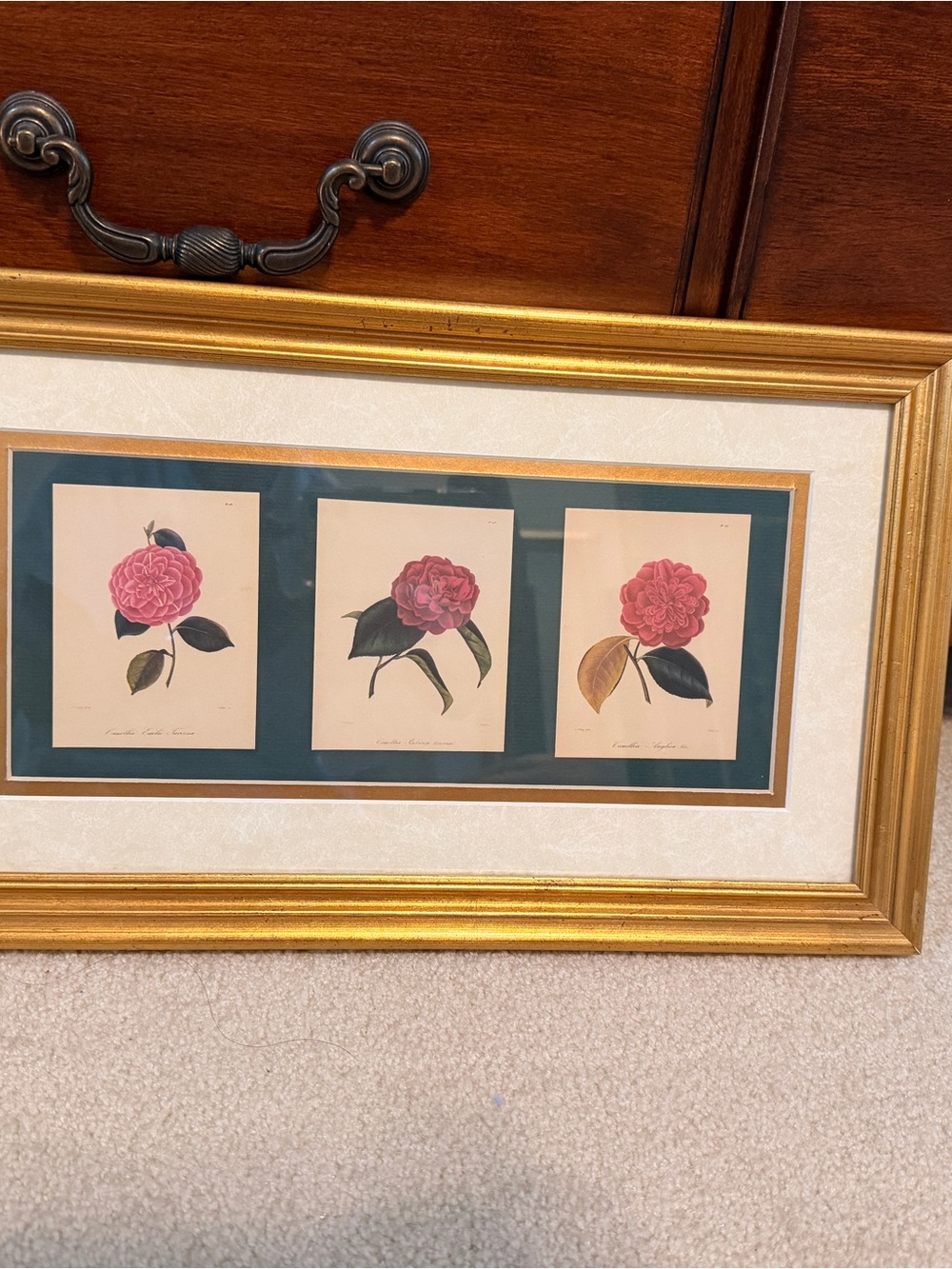 Framed Botanical Triptych - Pink Camellia Prints